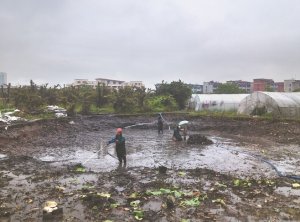 泉州河道鱼塘清淤